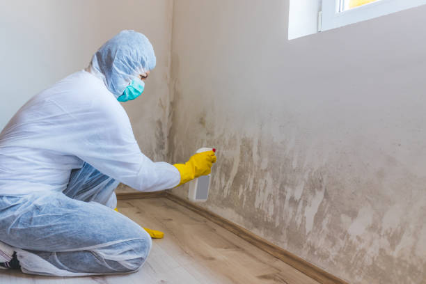 Mold Remediation specialist working in North Bend