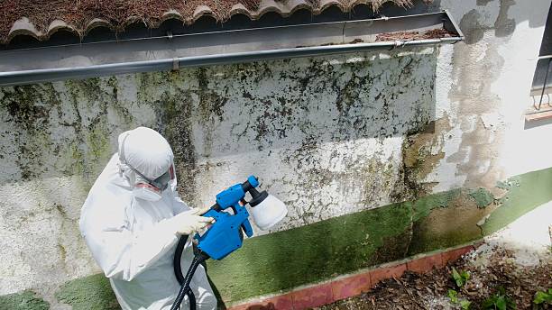 Clearance testing in North Bend